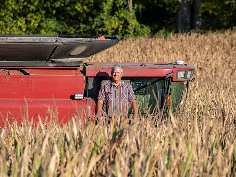 man standing on combine in corn field