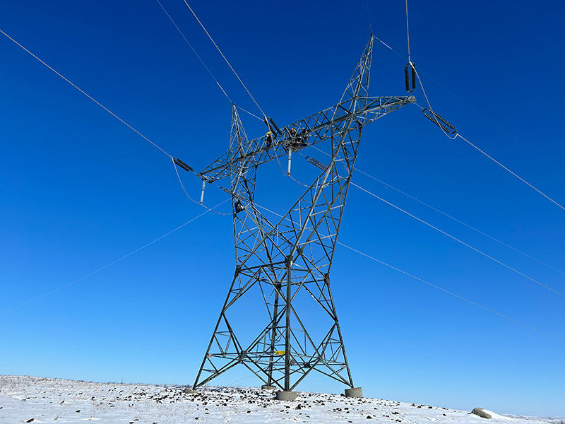 Eagle nest in transmission structure